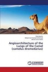 Angioarchiitecture of the Lungs of the Camel (Camelus Dromedarius)