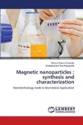 Magnetic nanoparticles - synthesis and characterization
