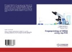 Fingerprinting of Mrsa Using Rep-PCR
