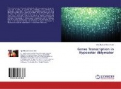 Genes Transcription in Hyposoter Didymator
