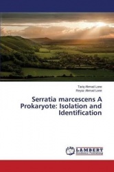 Serratia marcescens A Prokaryote - Isolation and Identification