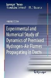 Experimental and Numerical Study of Dynamics of Premixed Hydrogen-Air Flames Propagating in Ducts
