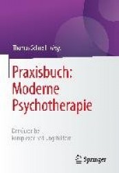 Praxisbuch: Moderne Psychotherapie : Der Guide bei komplexen Störungsbildern