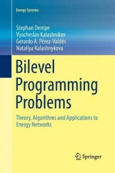 Bilevel Programming Problems - Theory, Algorithms and Applications to Energy Networks
