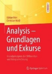 Analysis – Grundlagen und Exkurse - Grundprinzipien der Differential- und Integralrechnung