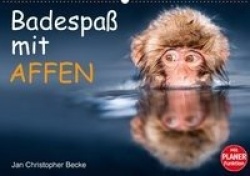 Badespaß mit Affen (Wandkalender 2016 DIN A2 quer)