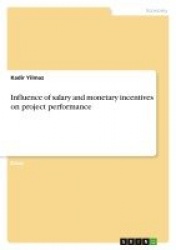 Influence of salary and monetary incentives on project performance
