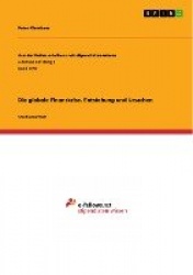 Die globale Finanzkrise. Entstehung und Ursachen