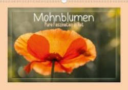 Mohnblumen - Pure Faszination in Rot (Wandkalender 2020 DIN A3 quer)