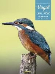 Vögel 2023