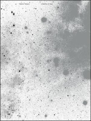 Florian Schwarz - A handful of dust