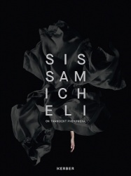 On Transient Phenomena - Sissa Micheli