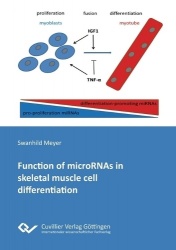 Function of microRNAs in skeletal muscle cell differentiation