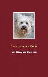 Ein Hund aus Flandern