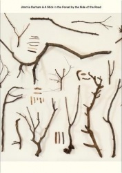 Jimmie Durham&A Stick in the Forest by the Side of the Road Series (vol.1-12)
