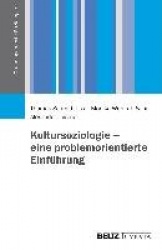 Kultursoziologie - eine problemorientierte Einführung