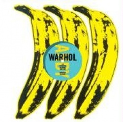 Andy Warhol: The Album Covers, 1949-1987  Catalogue Raisonné