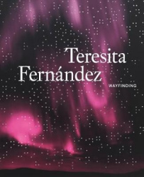 Teresita Fernandez - Wayfinding