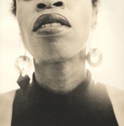 Joy Gregory - Catching Flies With Honey