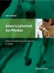 Adams'Lahmheit bei Pferden