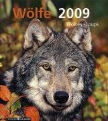 Arbeitshilfen für Betreuer. CD-ROM