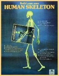 Build Your Own Human Skeleton