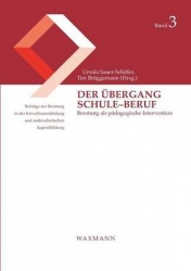 Der Übergang Schule-Beruf - Beratung als pädagogische Intervention