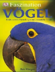 Faszination Vögel