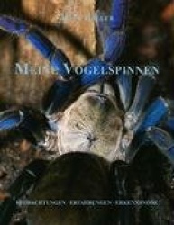 Meine Vogelspinnen
