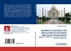 Numerical Methods for Simulation of Diffusion and Wave Propagation