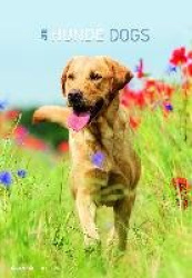 Hunde 2018