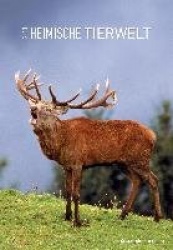 Heimische Tierwelt 2018