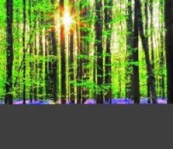 Landschaft im Licht 2018