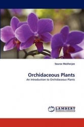 Orchidaceous Plants