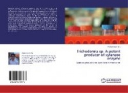 Trichoderma Sp. a Potent Producer of Xylanase Enzyme