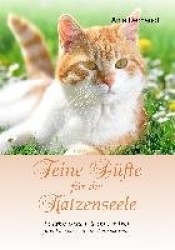 Feine Düfte für die Katzenseele