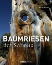 Baumriesen der Schweiz