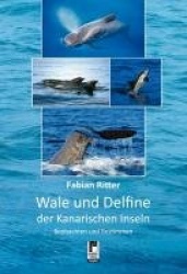 Wale und Delfine der Kanarischen Inseln
