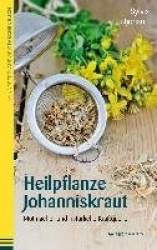 Heilpflanze Johanniskraut