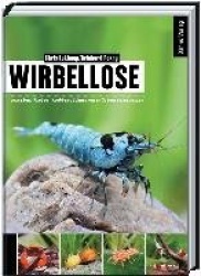 Wirbellose