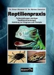 Reptilienpraxis