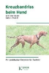 Kreuzbandriss beim Hund