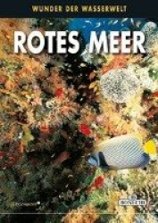 Fische im Roten Meer