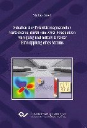 Schalten der Polarität magnetischer Vortexkerne durch eine Zwei-Frequenzen Anregung und mittels direkter Einkopplung eines Strom