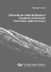 Efficient Modular Surface Modification of Biopolymers via Thermal and Photochemical Ligation Techniques
