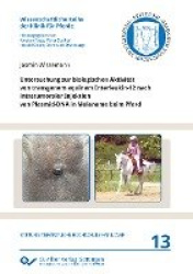 Untersuchung zur biologischen Aktivität von transgenem equinem Interleukin-12 nach intratumoraler Injektion von Plasmid-DNA in M