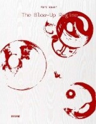 The Blow-Up Regime - (English / German Edition)