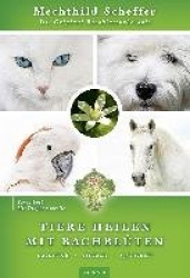 Tiere heilen mit Bachblüten - Praxisbuch