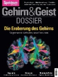 Die Eroberung des Gehirns