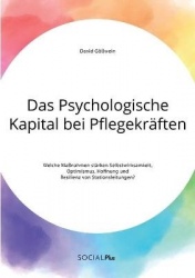 Das Psychologische Kapital bei Pflegekräften. Welche Maßnahmen stärken Selbstwirksamkeit, Optimismus, Hoffnung und Resilienz von